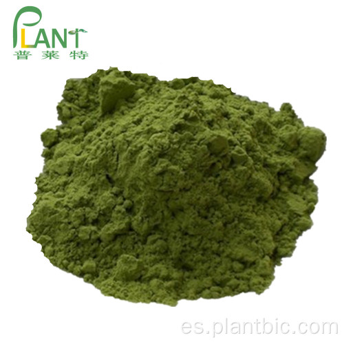 polvo de hojas de moringa orgánico 100% hoja de polvo de moringa